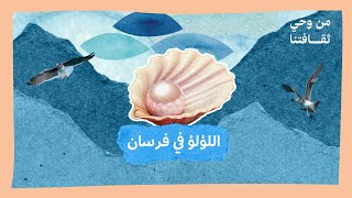 18 جزر فرسان