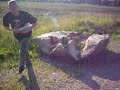 36 sparklers VS 1 watermelon 36 sparklers VS 1 watermelon