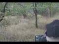 Zimbabwe Game Drive