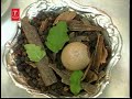 Prem Ni Pirsi ( Mataji Thaal)