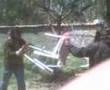 Persiguiendo a pauilto