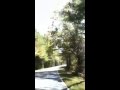 Autumn Excursion - YouTube