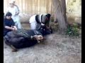 Qurbani1.mp4