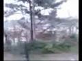 En busca de olas