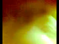 n�hled 1