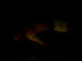 Roddy drunk dancing