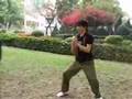 Jyuga tonglong (Chu gar tonglong / 朱家螳螂) - Jeng Wan (鄭運)