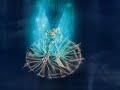 Saint-Seiya-Edguy-Va