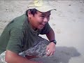 Damai Beach Resort Overnight Stay (Part 3)