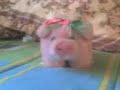 videos del aspiante (magia )2 - Thumb #2