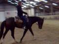 videos de Whisper en Willeke