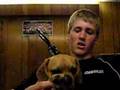 Nicky's Puggle Story 