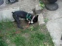 buddy-oliver buddy-oliver