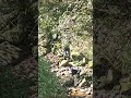 20251130 普渡長生橋散步