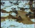 Steinbeisser-Trophy 2007 - Video 2 Steinbeisser-Trophy 2007 - Video 2
