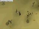 Rs hunter guide.