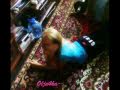 Movie 0009