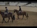 TrakehnerPuissance.wmv TrakehnerPuissance.wmv