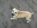 videos de Imagen 051