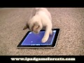 iPad Game for Cats: The World's Greatest Video Game (for cats, not humans)