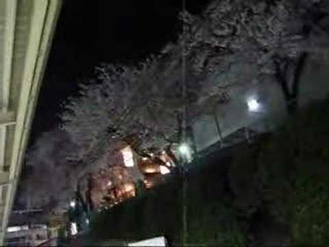 巣鴨駅のホームから夜桜を・・・