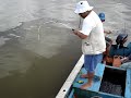 Pegando uma Arraia