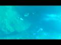 videos de Austin Better than Mermaid