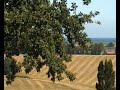 Blick auf die Ostsee Blick auf die Ostsee