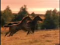 Travel Prince Edward Island: Prince Edward Island-Travel Vid
