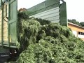 Gras silieren 2008