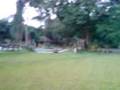 videos de lawiswis kawayan