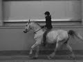 Horsemanship-igen-nu