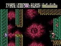 this is a non-assisted speedrun played in realtime without any use of savestates or slowdowns. played by xipo in 17:45. www.speedruns.net the second part of the ninja gaiden trilogy for nintendo nes.