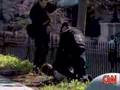 Man Jumps White House Fence