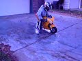 49cc mini turbo pocket bike 67cc 49cc mini turbo pocket bike 67cc