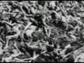 El Holocausto Nazi Que el mundo no olvide