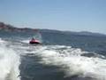 Jerry on the Tube