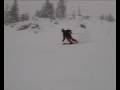 Skiing