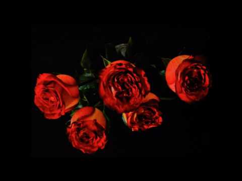 video_preview