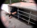 Alfred's Funny S Gap Moment Alfred's Funny S Gap Moment