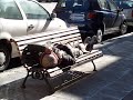 Yo me bajo en Madrid