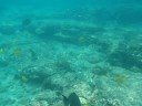 Hawaii - Snorkelen Hawaii - Snorkelen