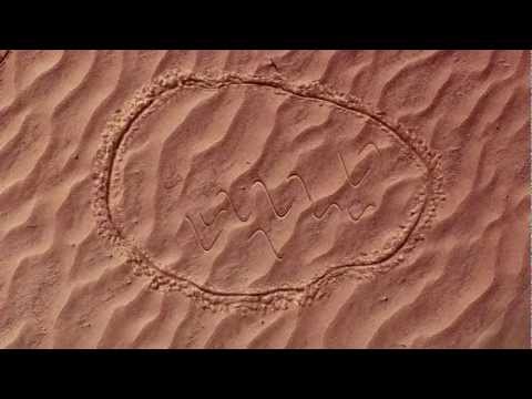 Image de prévisualisation YouTube