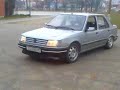 peugeot 309-papic...
