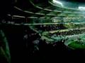 drughi curvasud