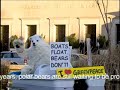 polar bear busted