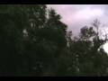 videos de PHOTO CHRONICLES / Hurricane Ike 2008 Houston,TX