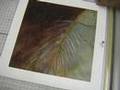 Art On Giclee