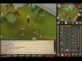 pvp pk video