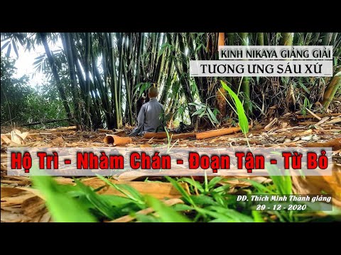 KINH NIKAYA GIẢNG GIẢI - TƯƠNG ƯNG SÁU XỨ - Hộ Trì - Nhàm Chán - Đoạn Tận - Từ Bỏ